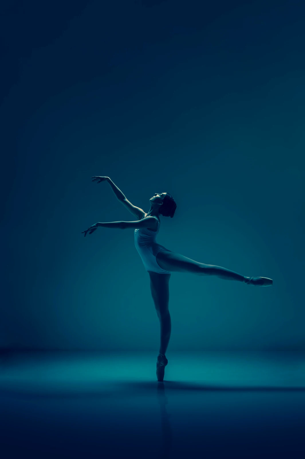 Arabesque - Mirjam Otten.jpeg